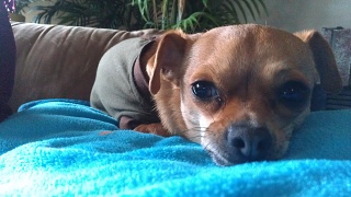 IMAG0158